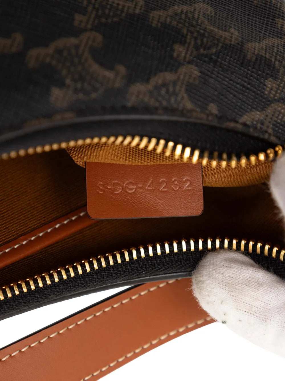 Celine Ava Bag in Triomphe Canvas and Calfskin