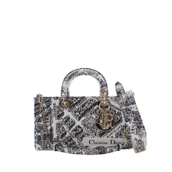Dior Medium Calfskin Plan De Paris Printed Lady D Joy