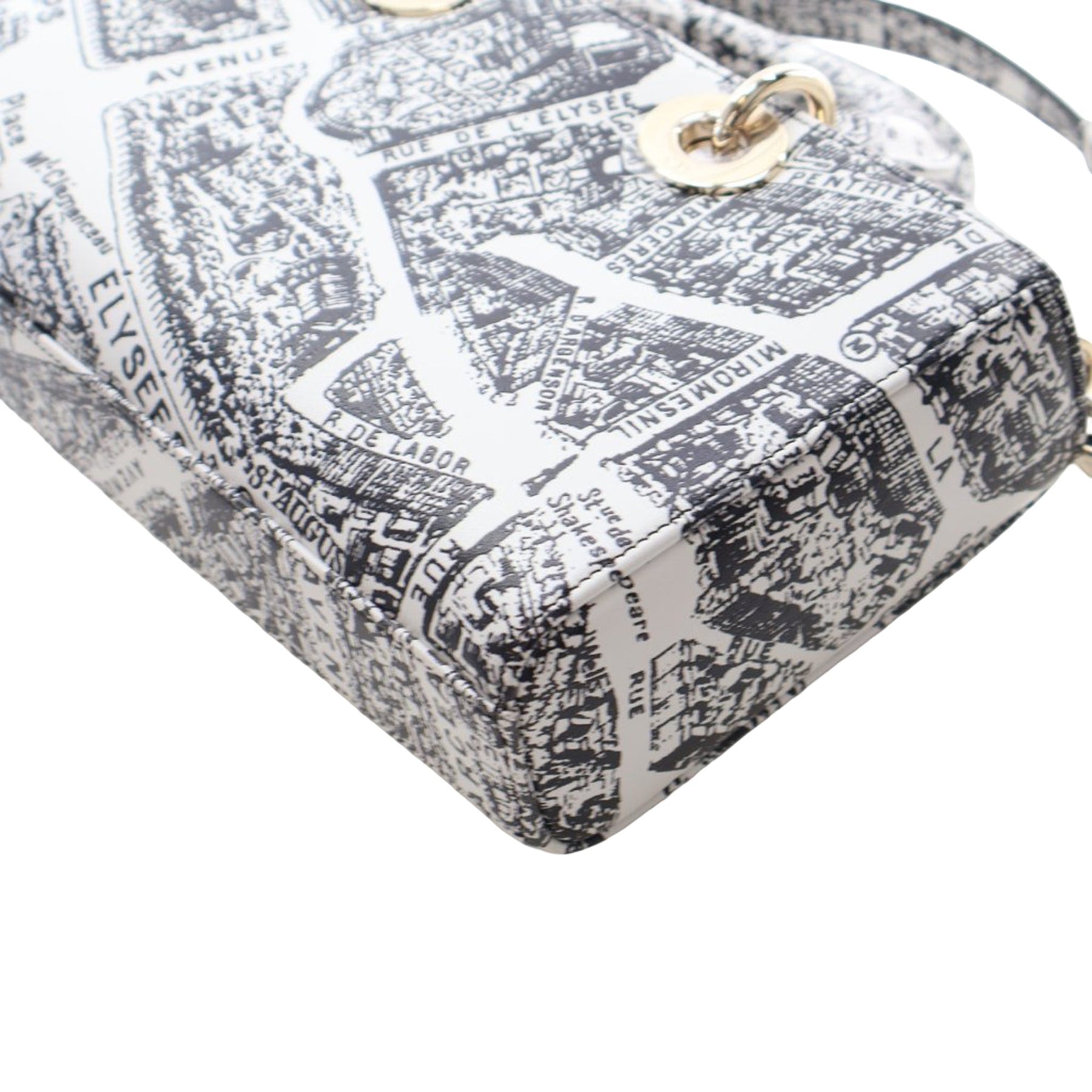 Dior Medium Calfskin Plan De Paris Printed Lady D Joy