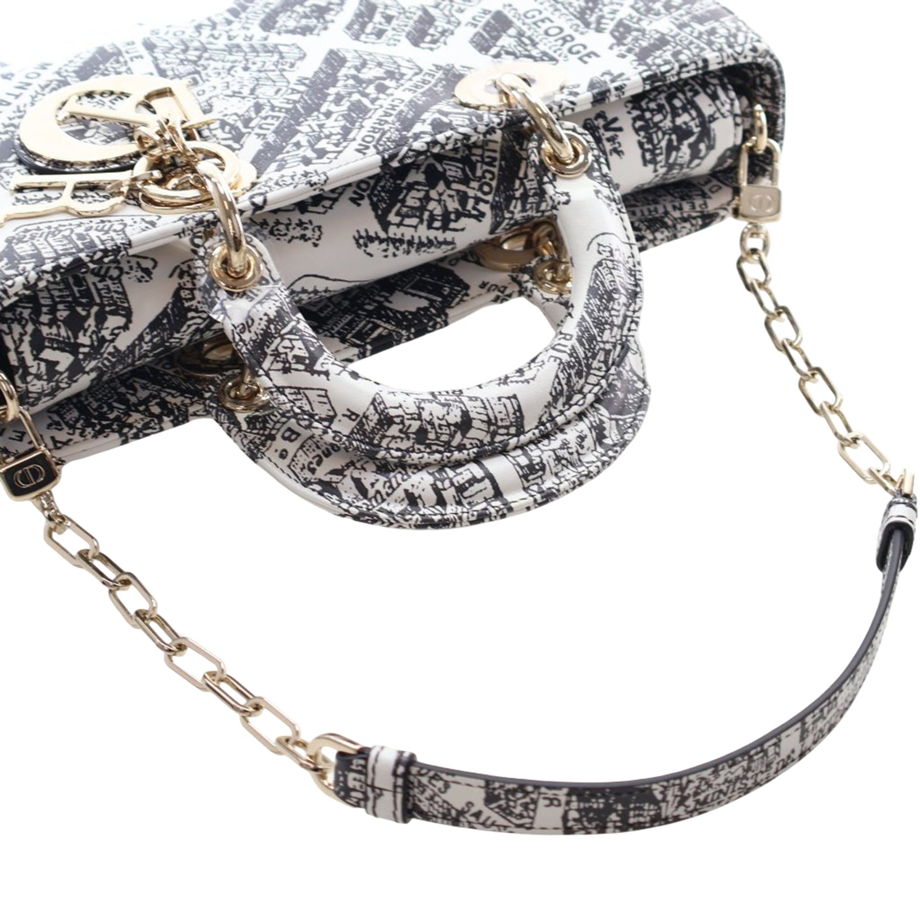 Dior Medium Calfskin Plan De Paris Printed Lady D Joy