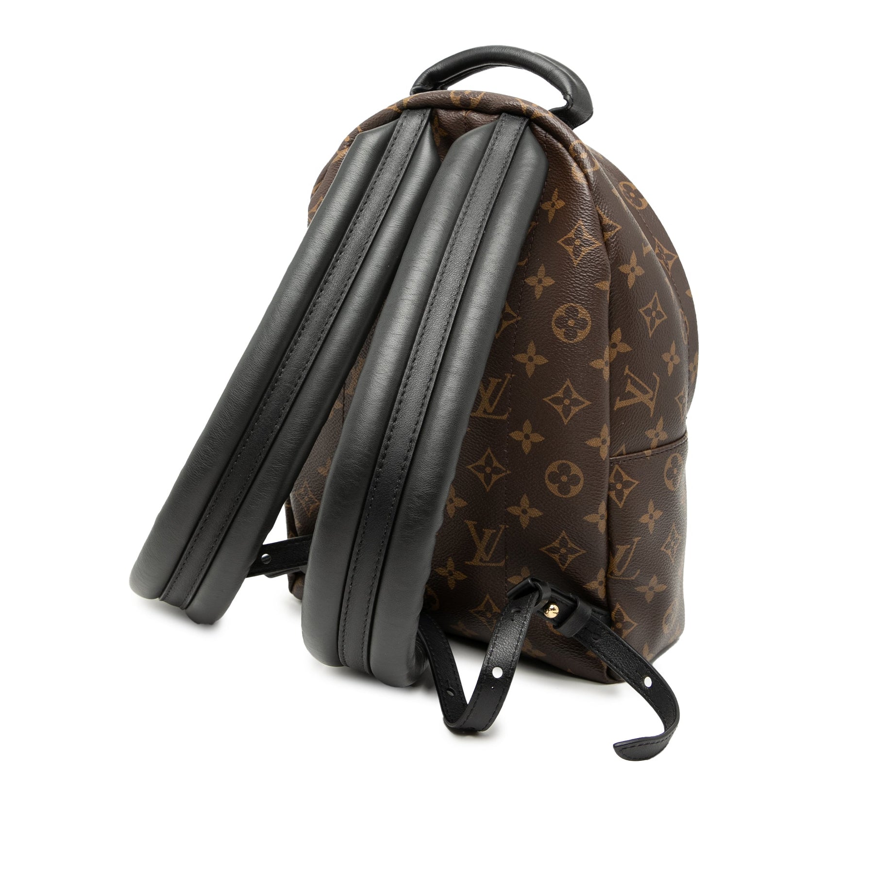 Louis Vuitton Monogram PM