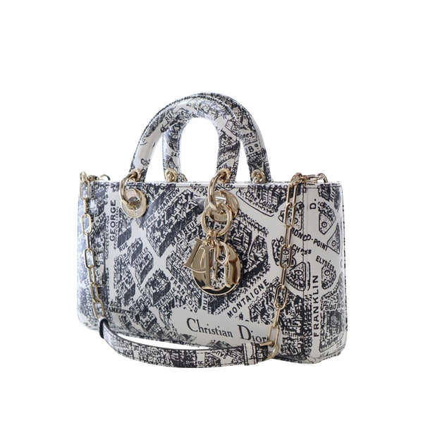 Dior Medium Calfskin Plan De Paris Printed Lady D Joy