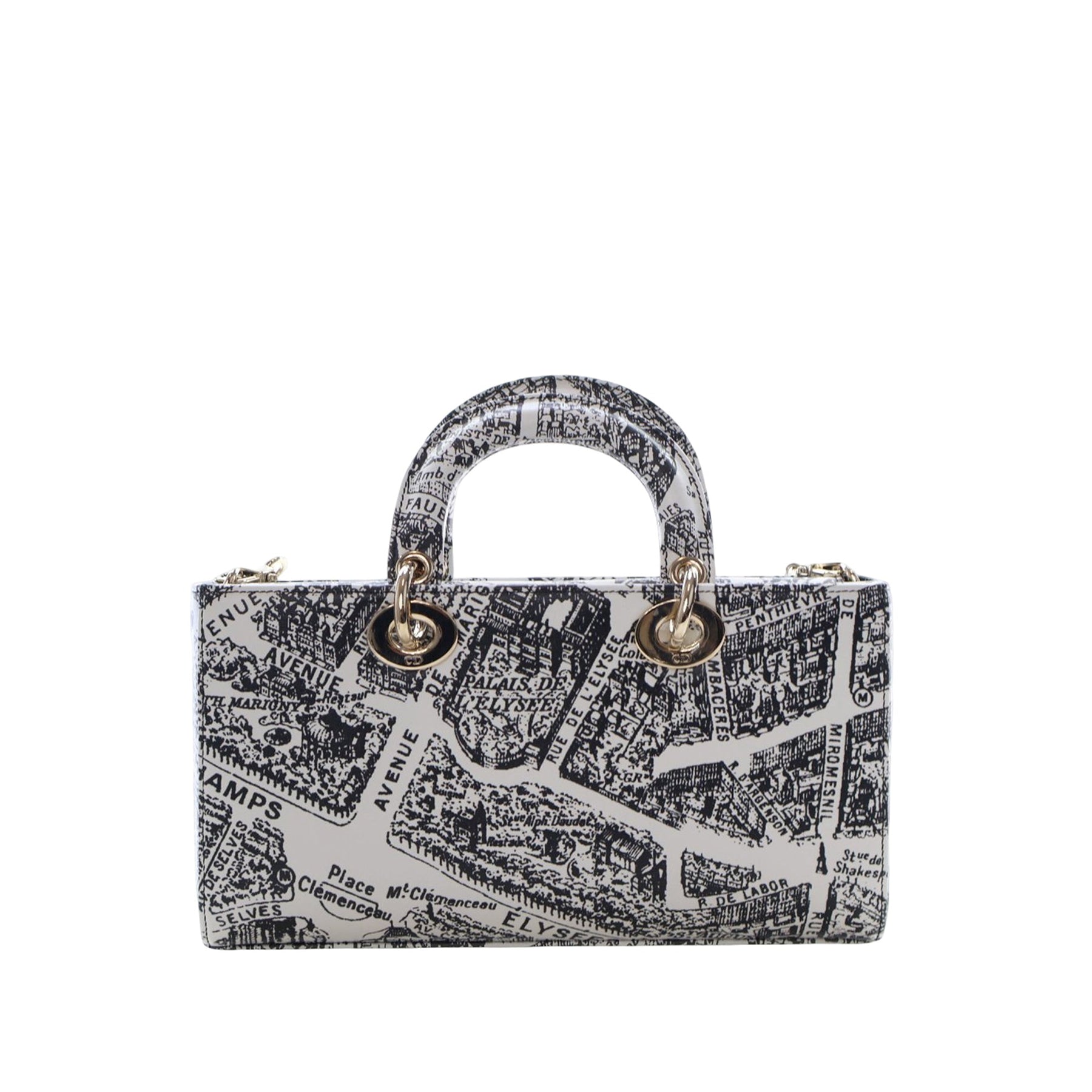 Dior Medium Calfskin Plan De Paris Printed Lady D Joy