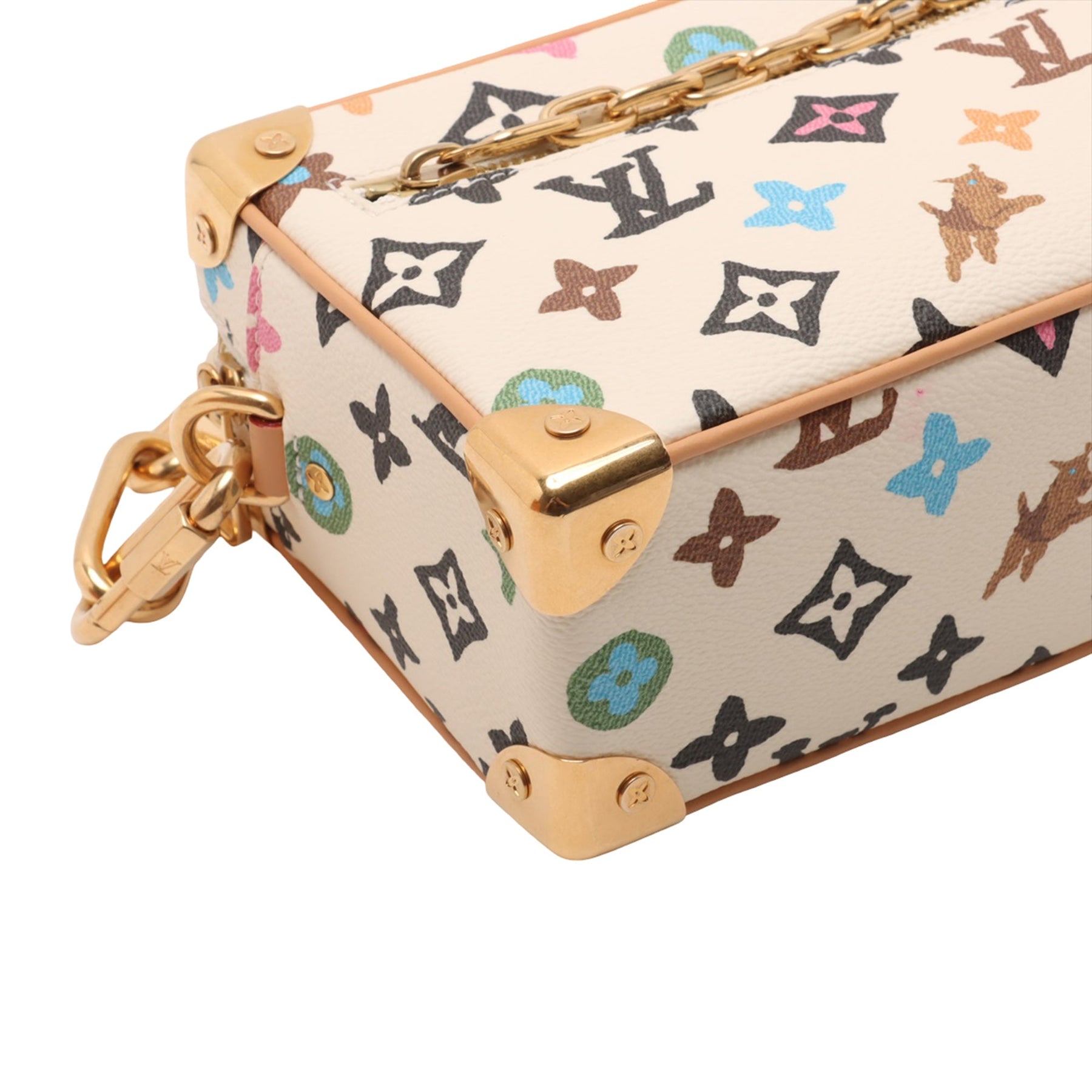 Louis Vuitton Tyler The Creator Monogram Craggy Mini Soft Trunk