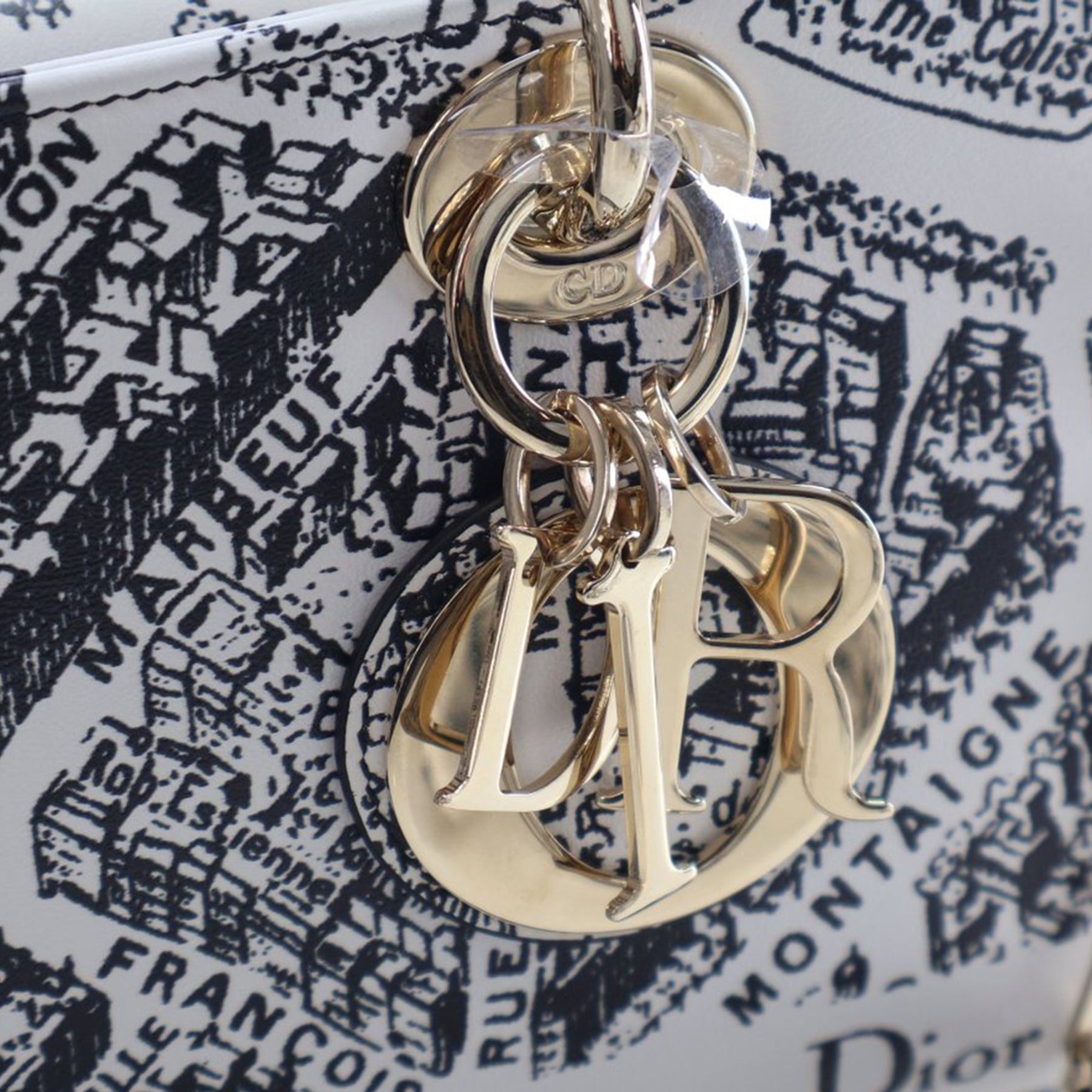 Dior Medium Calfskin Plan De Paris Printed Lady D Joy
