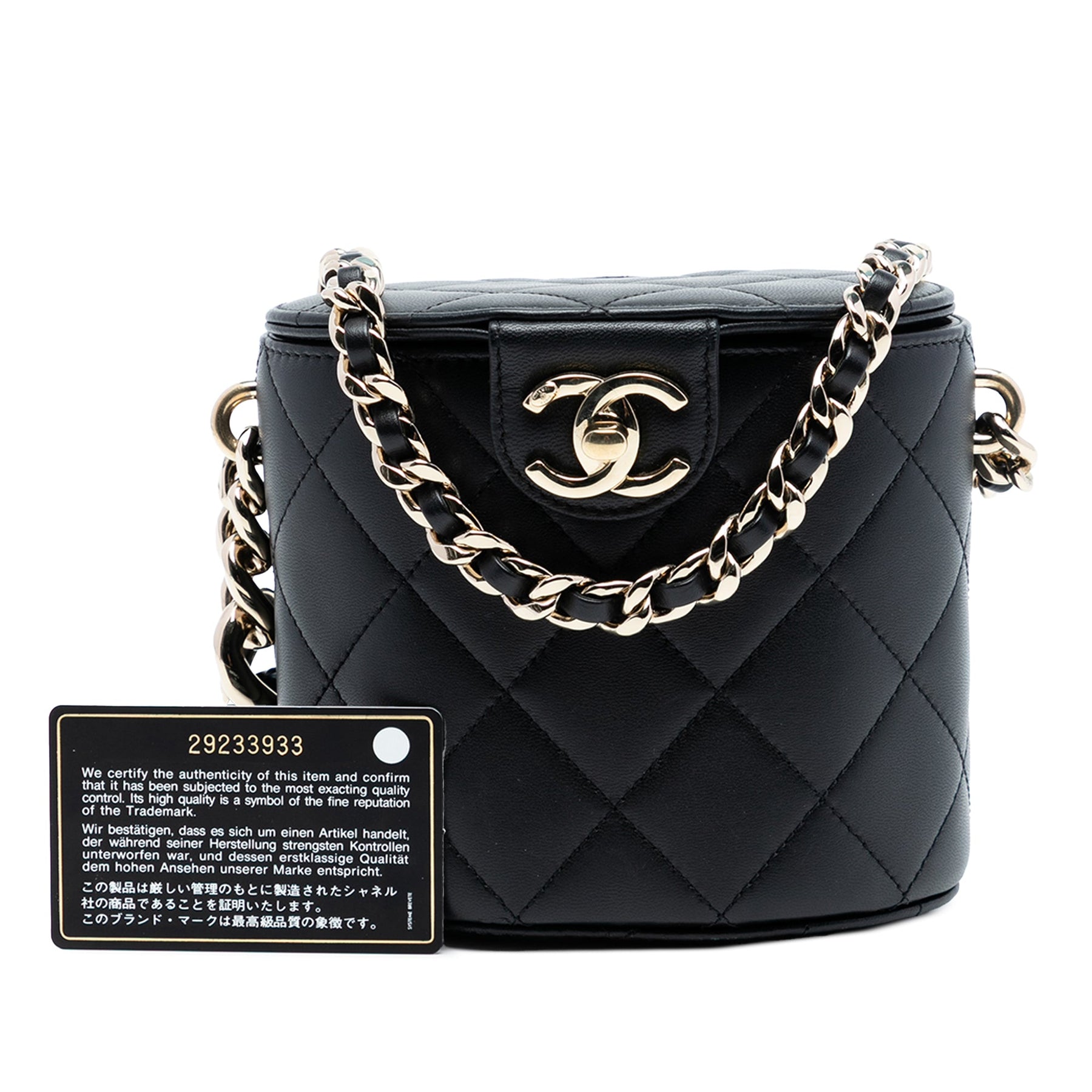 Chanel Mini Quilted Lambskin Elegant Chain Vanity Case