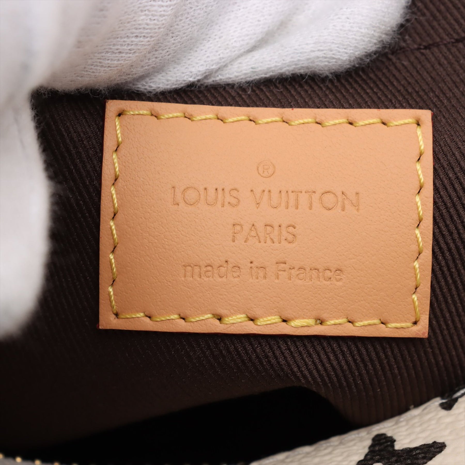 Louis Vuitton Tyler The Creator Monogram Craggy Mini Soft Trunk