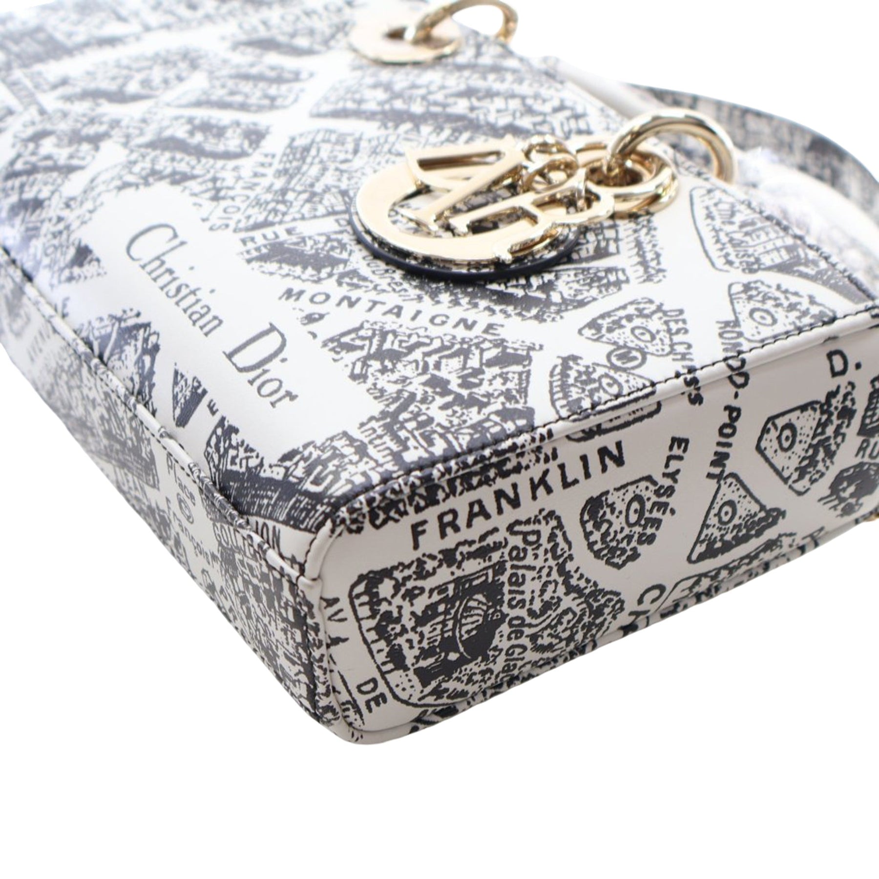 Dior Medium Calfskin Plan De Paris Printed Lady D Joy