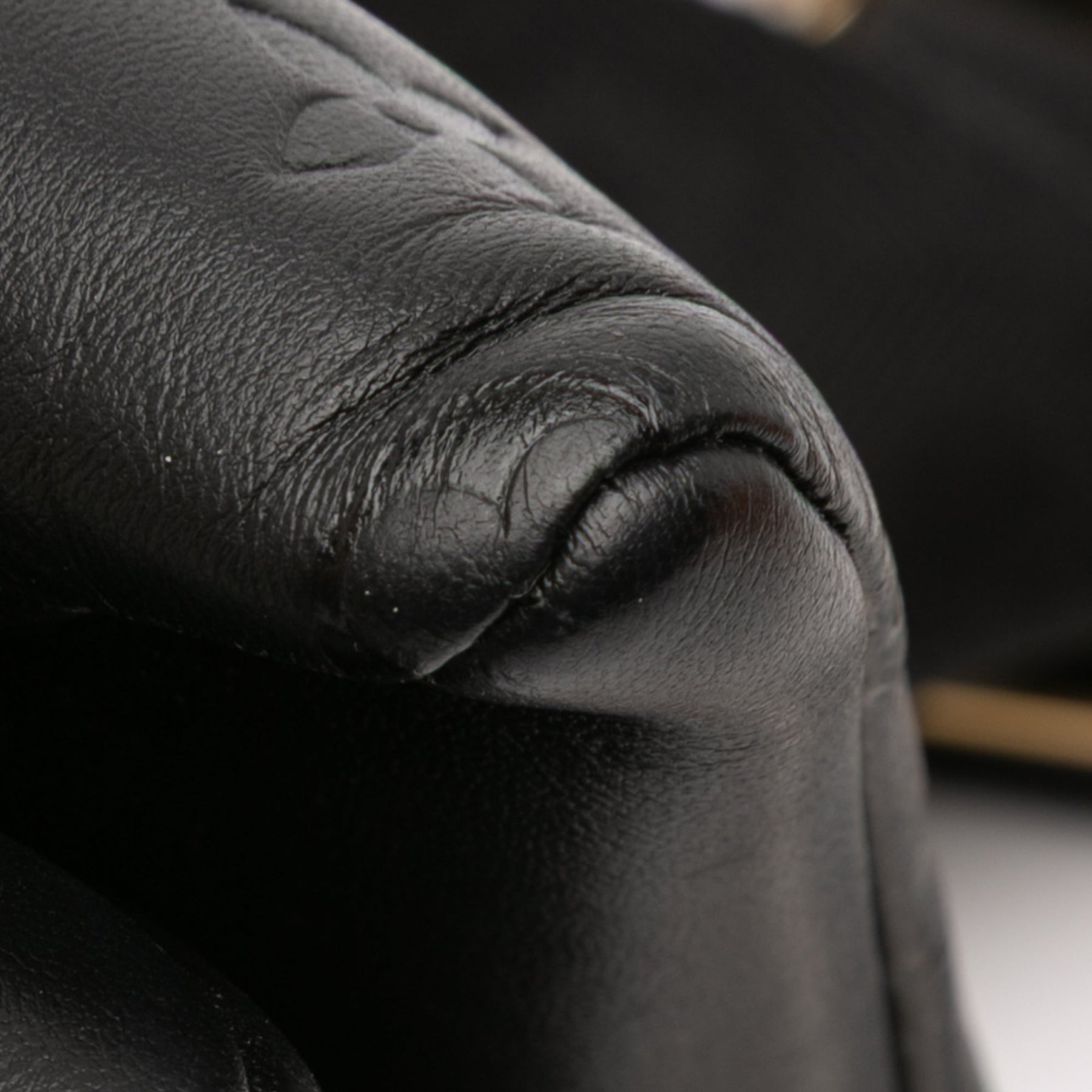 Louis Vuitton Monogram Embossed Puffy Lambskin Coussin PM