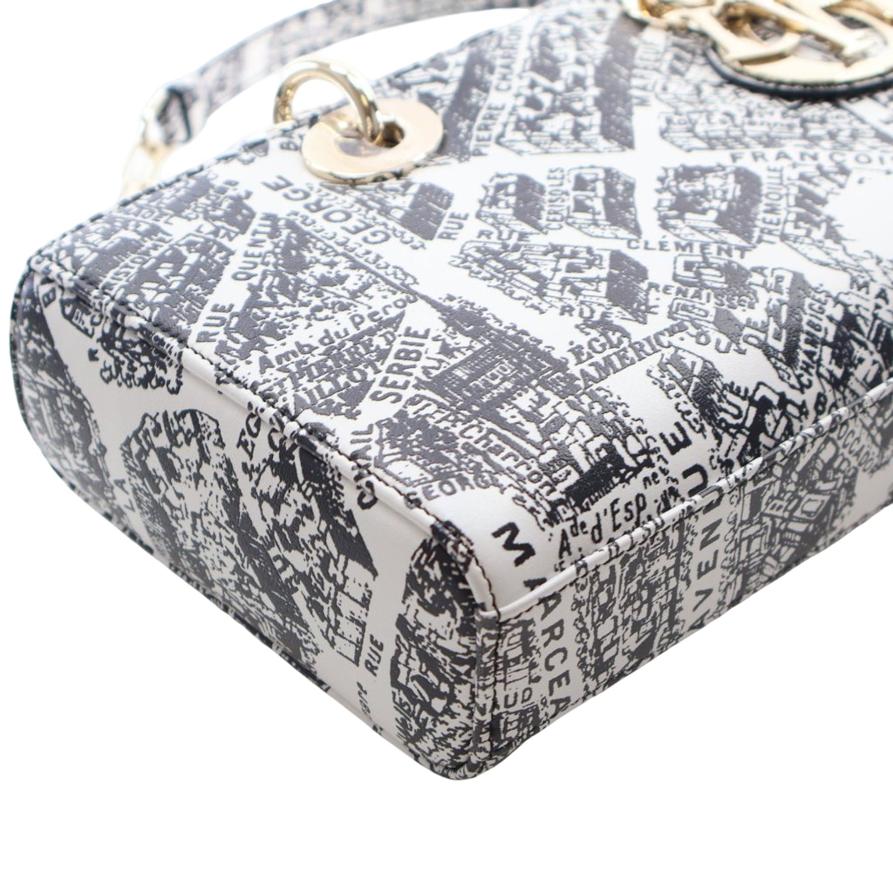 Dior Medium Calfskin Plan De Paris Printed Lady D Joy