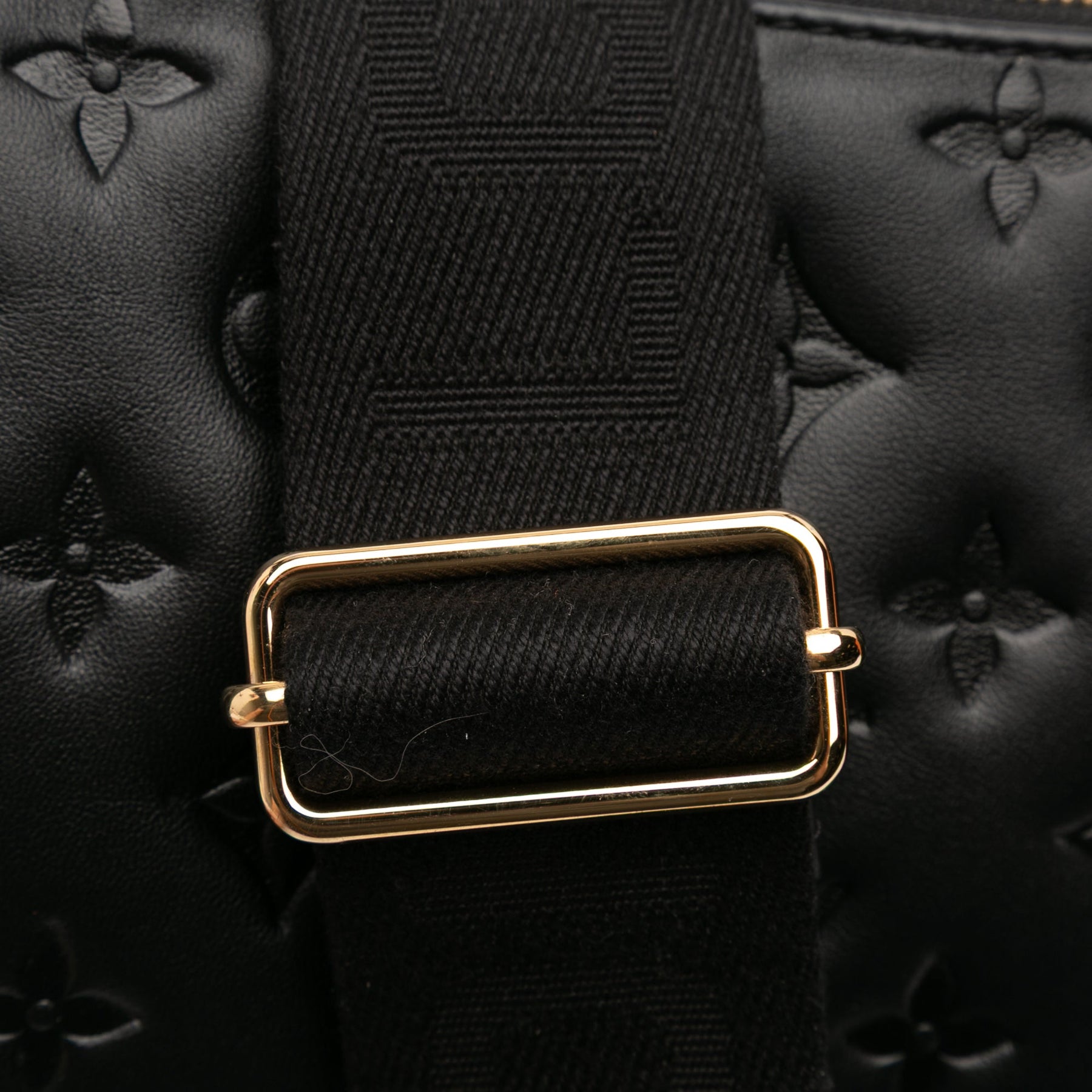 Louis Vuitton Monogram Embossed Puffy Lambskin Coussin PM